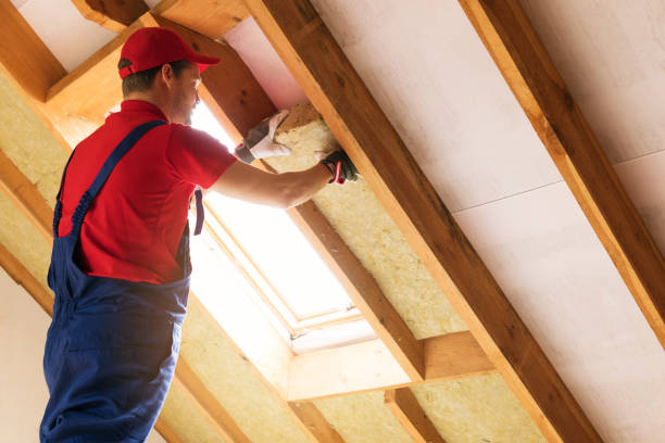 Reliable Kaplan, LA Insulation Installation & Removal Solutions